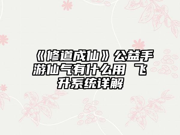 《修道成仙》公益手游仙气有什么用 飞升系统详解