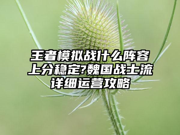 王者模拟战什么阵容上分稳定?魏国战士流详细运营攻略