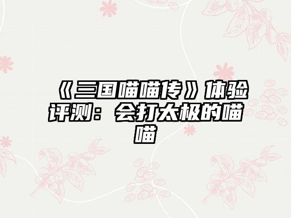 《三国喵喵传》体验评测：会打太极的喵喵
