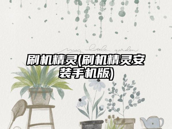 刷机精灵(刷机精灵安装手机版)