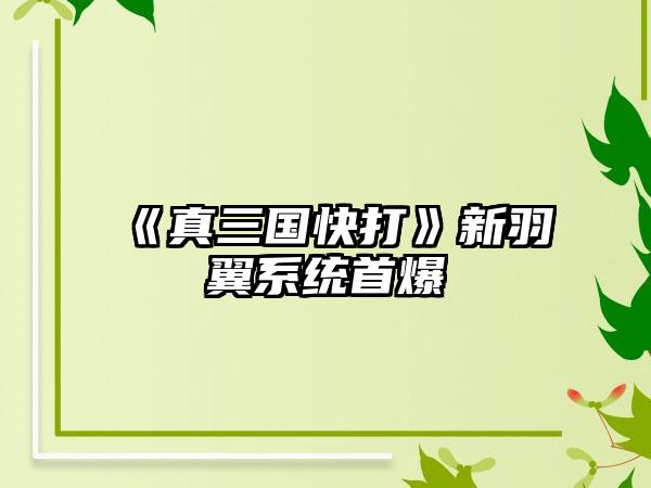 《真三国快打》新羽翼系统首爆