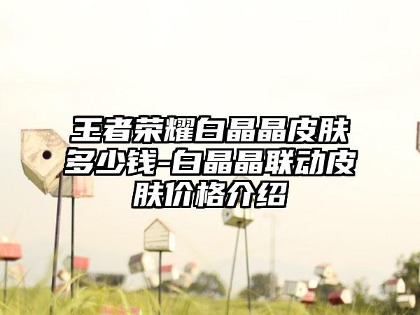 王者荣耀白晶晶皮肤多少钱-白晶晶联动皮肤价格介绍