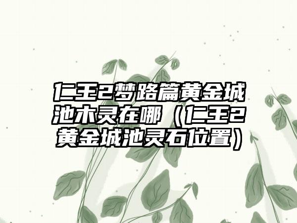仁王2梦路篇黄金城池木灵在哪（仁王2黄金城池灵石位置）