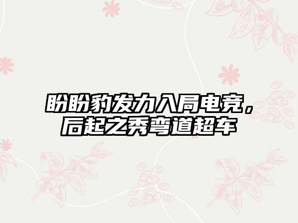 盼盼豹发力入局电竞，后起之秀弯道超车