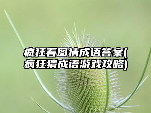 疯狂看图猜成语答案(疯狂猜成语游戏攻略)
