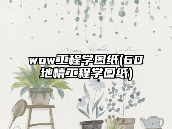 wow工程学图纸(60地精工程学图纸)