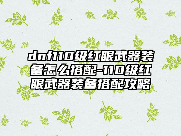dnf110级红眼武器装备怎么搭配-110级红眼武器装备搭配攻略