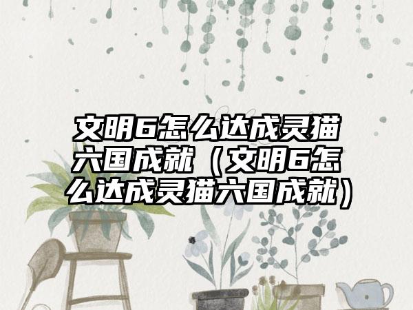 文明6怎么达成灵猫六国成就（文明6怎么达成灵猫六国成就）