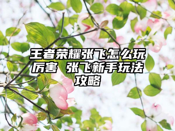 王者荣耀张飞怎么玩厉害 张飞新手玩法攻略