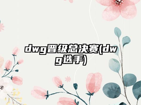 dwg晋级总决赛(dwg选手)