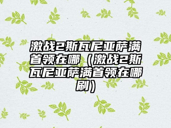 激战2斯瓦尼亚萨满首领在哪（激战2斯瓦尼亚萨满首领在哪刷）
