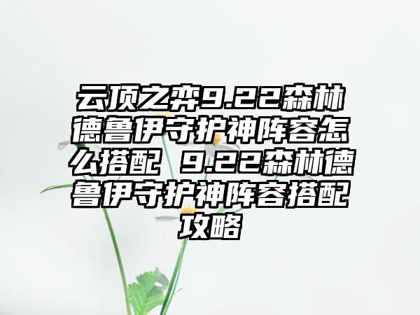 云顶之弈9.22森林德鲁伊守护神阵容怎么搭配 9.22森林德鲁伊守护神阵容搭配攻略