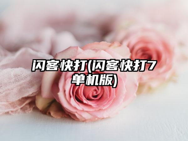 闪客快打(闪客快打7单机版)