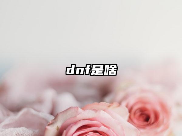 dnf是啥