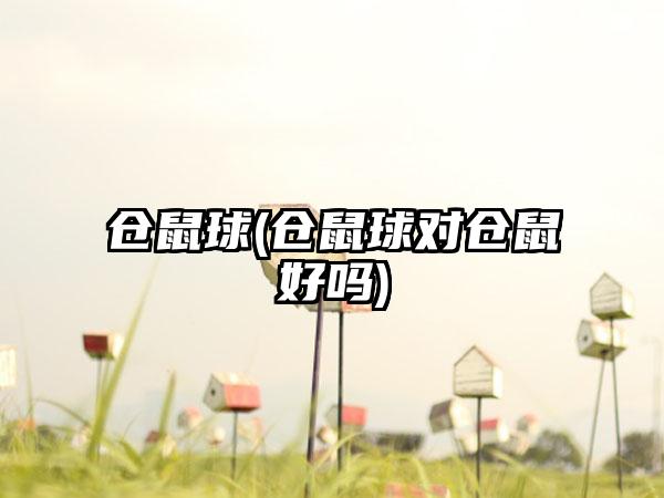 仓鼠球(仓鼠球对仓鼠好吗)