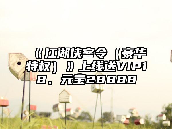 《江湖侠客令（豪华特权）》上线送VIP18、元宝28888