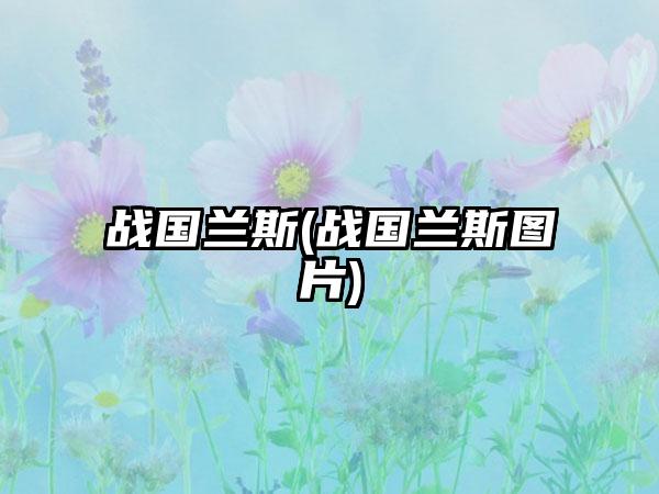 战国兰斯(战国兰斯图片)