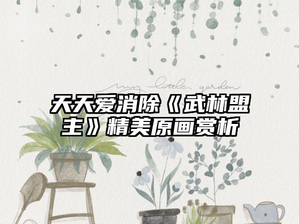 天天爱消除《武林盟主》精美原画赏析