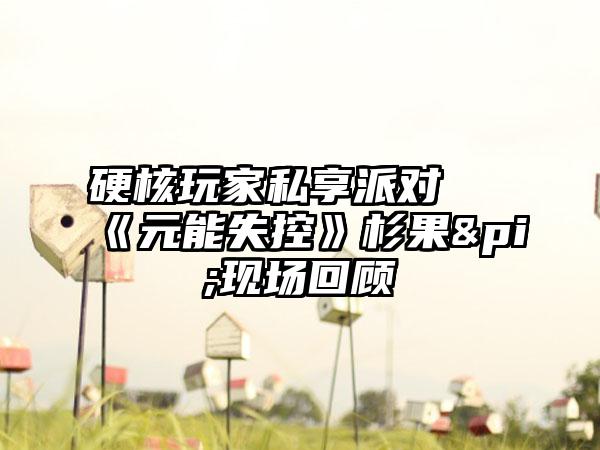 硬核玩家私享派对 《元能失控》杉果&pi;现场回顾