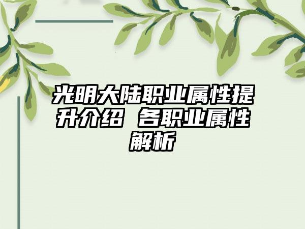 光明大陆职业属性提升介绍 各职业属性解析
