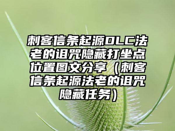 刺客信条起源DLC法老的诅咒隐藏打坐点位置图文分享（刺客信条起源法老的诅咒隐藏任务）