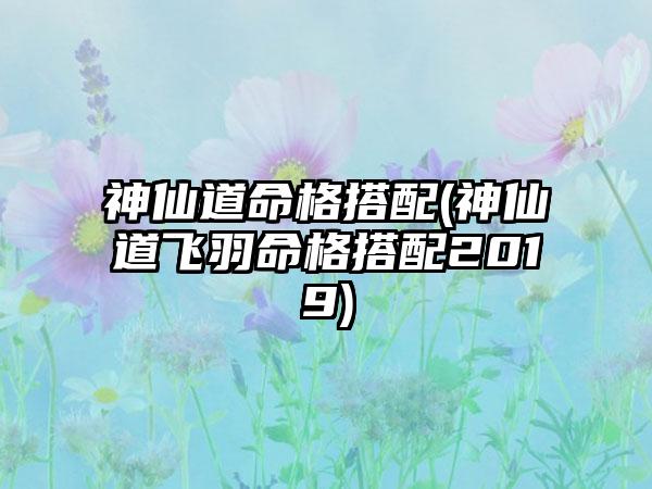 神仙道命格搭配(神仙道飞羽命格搭配2019)