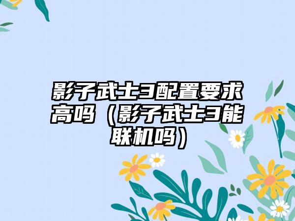 影子武士3配置要求高吗（影子武士3能联机吗）
