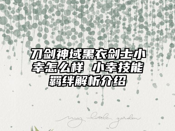 刀剑神域黑衣剑士小幸怎么样 小幸技能羁绊解析介绍