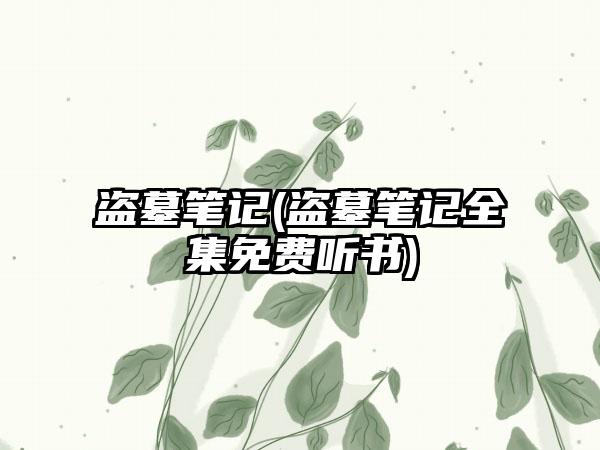 盗墓笔记(盗墓笔记全集免费听书)