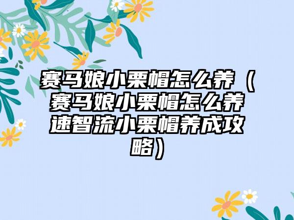 赛马娘小栗帽怎么养（赛马娘小栗帽怎么养速智流小栗帽养成攻略）