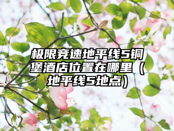 极限竞速地平线5铜堡酒店位置在哪里（地平线5地点）