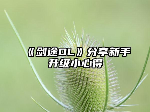 《剑途OL》分享新手升级小心得