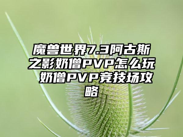 魔兽世界7.3阿古斯之影奶僧PVP怎么玩 奶僧PVP竞技场攻略