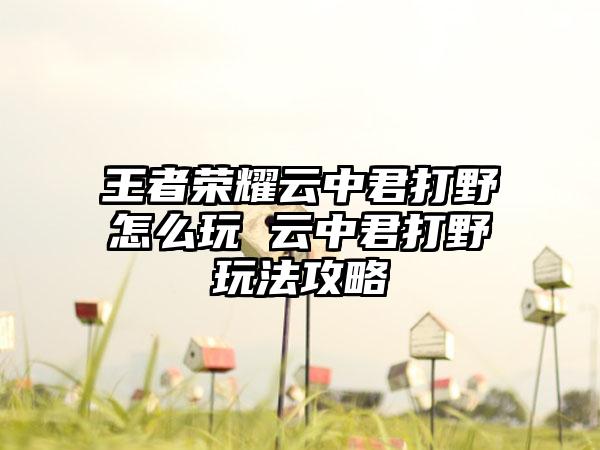王者荣耀云中君打野怎么玩 云中君打野玩法攻略