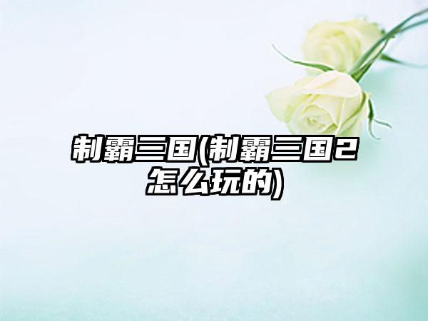 制霸三国(制霸三国2怎么玩的)