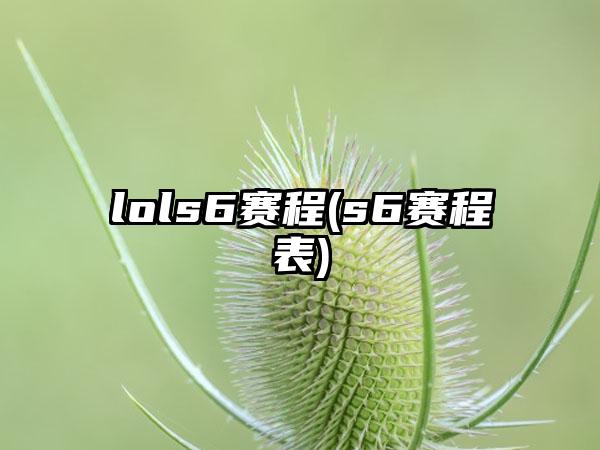 lols6赛程(s6赛程表)