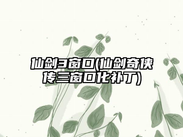 仙剑3窗口(仙剑奇侠传三窗口化补丁)