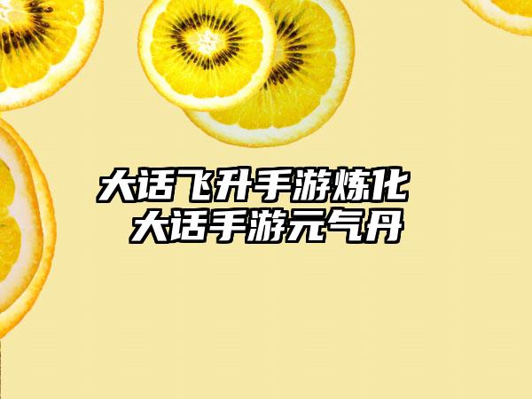 大话飞升手游炼化 大话手游元气丹