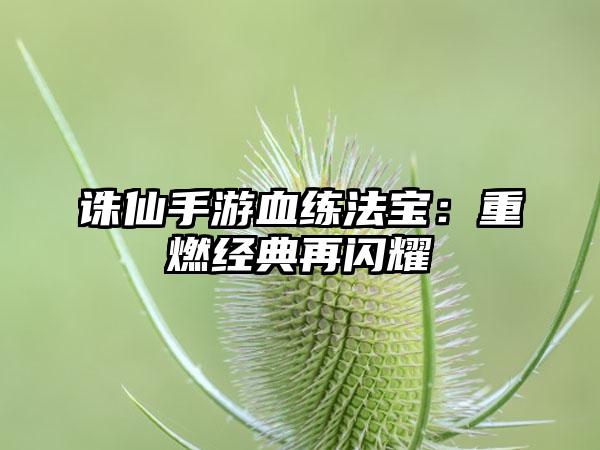 诛仙手游血练法宝：重燃经典再闪耀