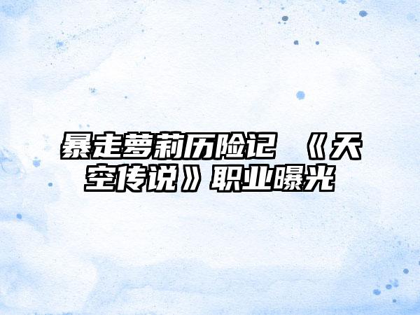 暴走萝莉历险记 《天空传说》职业曝光