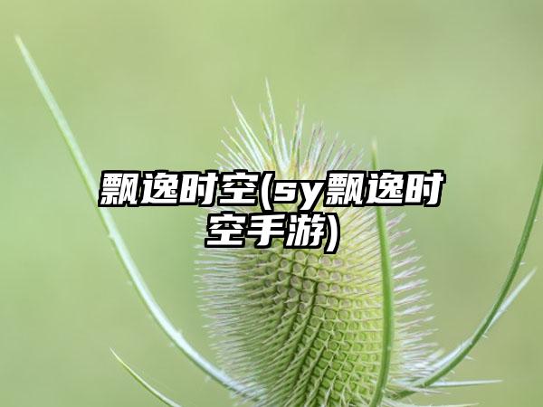 飘逸时空(sy飘逸时空手游)