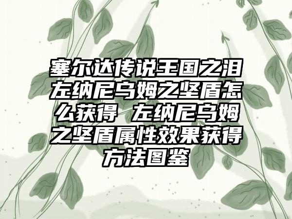 塞尔达传说王国之泪左纳尼乌姆之坚盾怎么获得 左纳尼乌姆之坚盾属性效果获得方法图鉴