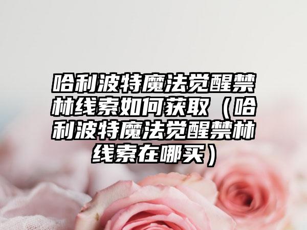 哈利波特魔法觉醒禁林线索如何获取（哈利波特魔法觉醒禁林线索在哪买）