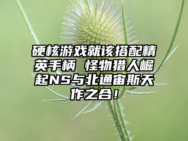 硬核游戏就该搭配精英手柄 怪物猎人崛起NS与北通宙斯天作之合！