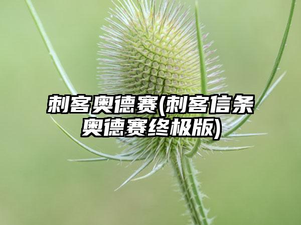 刺客奥德赛(刺客信条奥德赛终极版)