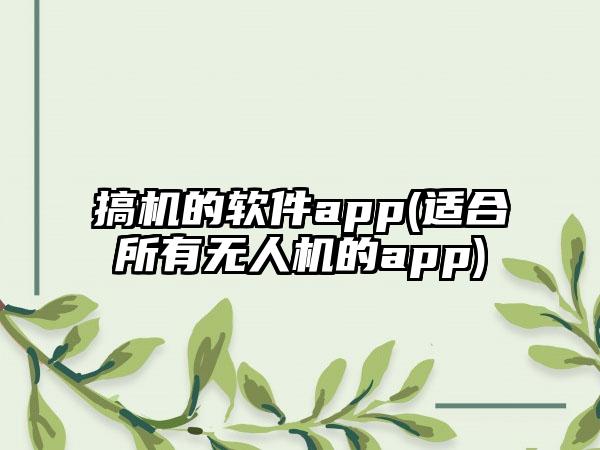 搞机的软件app(适合所有无人机的app)
