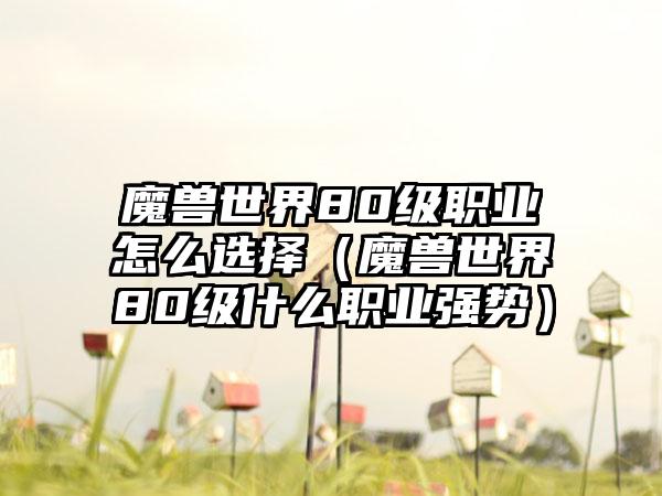 魔兽世界80级职业怎么选择（魔兽世界80级什么职业强势）