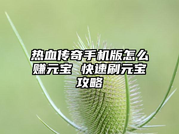 热血传奇手机版怎么赚元宝 快速刷元宝攻略