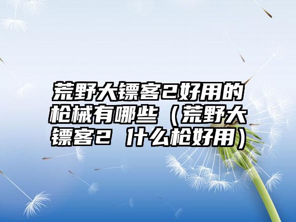 荒野大镖客2好用的枪械有哪些（荒野大镖客2 什么枪好用）