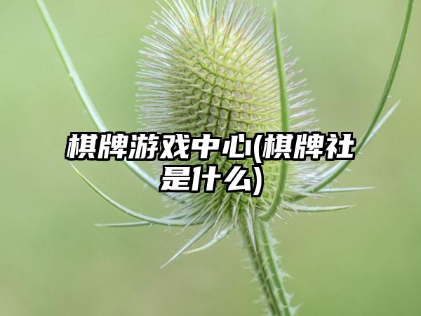 棋牌游戏中心(棋牌社是什么)